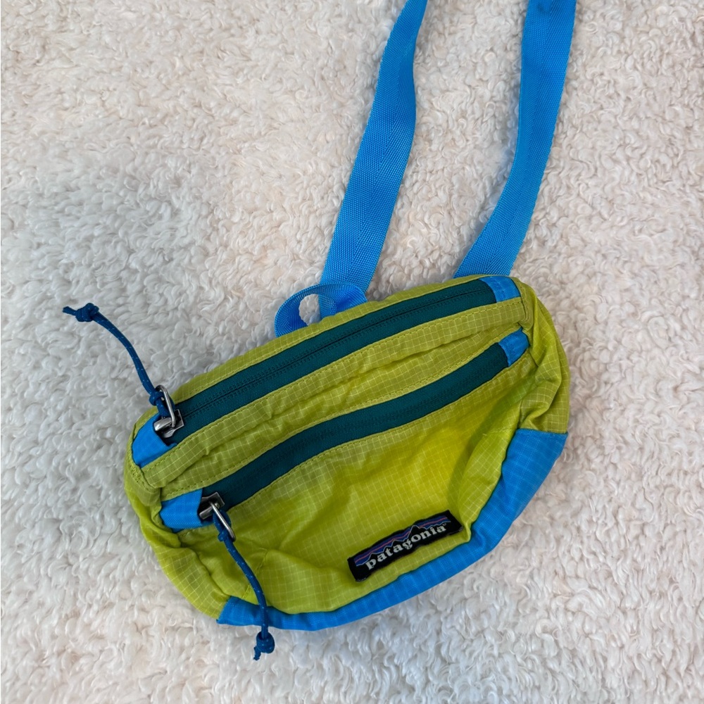 Patagonia Belt Bag